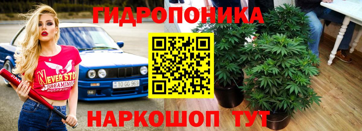 МАРИХУАНА конопля  Канабис сатива  Вход с VPN  Чита 